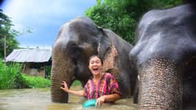 From Chiang Mai: Elephant Care Program and Nursery Tour