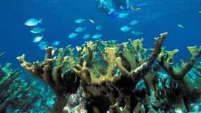 Private Boat to Soufriere, Mud Bath & Waterfall Experience