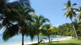 Cidade do Panamá: Excursão particular à praia de Isla Grande e Portobelo