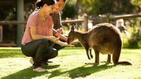 Perth Wildlife Park & City Highlights - Small Group Tours