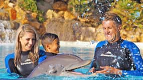 Algarve Zoomarine Ticket en Dolfijn Emotions Experience
