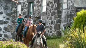 Faial Island: Horseback Riding on Lusitano Trail