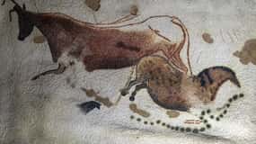 From Sarlat: Half-Day Skip-the-Line Lascaux IV Tour