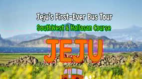 Jeju Island: Full-Day SouthWest Bus Tour with Entry Fees