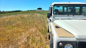 Bodegas, Catas y Viñedos en 4x4: Excursión de medio día desde Lisboa