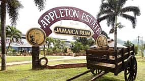 Joy Spence Appleton Estate Rum Tour