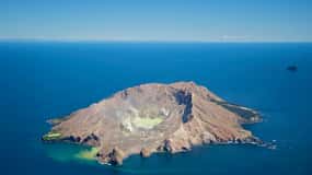 Wit eiland & Walviseiland 1 uur Vulkaan Scenic Flight