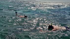 Negril: Excursão com piquenique na Ilha Booby Cay e mergulho com snorkel