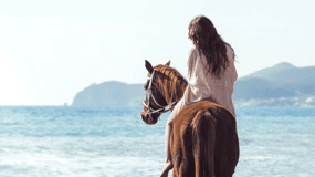 Santorini: gita a cavallo alla spiaggia di sabbia nera