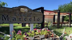 From Ensenada: Ojos Negros Valley Cheese & Wine Tasting Tour