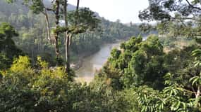 Fra Kuala Lumpur: Taman Negara National Park Trek Dagstur