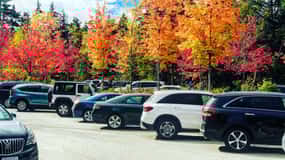 Boston: Fall Foliage Tour