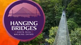 Arenal National Park: Tur i liten grupp till hängande broar