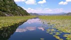 Kotor: Nationalpark Skadar See mit Weinverkostung