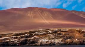 Da Paracas: tour panoramico in barca all'isola di Ballestas
