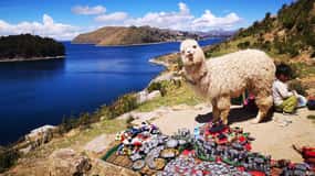 Desde Puno: Tour de 1 día a la Isla del Sol y Copacabana