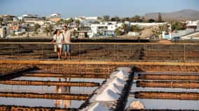 From Caleta de Fuste: Explore Rural Fuerteventura Tour