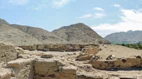 Desde Paracas: Excursión al Complejo Inca de Tambo Colorado