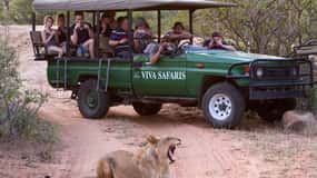 Johannesburg: 3-Day Classic Kruger National Park Safari Tour