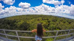Manaos: Museos MUSA e INPA con Visita a la Torre de Observación