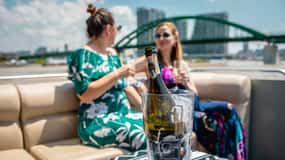 Belgrade: Private Sightseeing Cruise