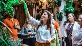Tour a pie por los patios de Córdoba