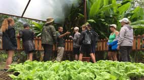 Quepos: Manuel Antonio Local Flavor Tour