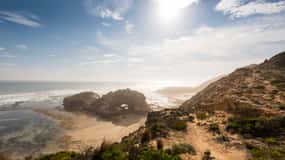 From Melbourne: Mornington Peninsula: Sightseeing Tour