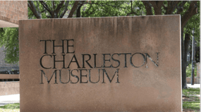 Charleston: City Tour with Charleston Museum Entry Combo