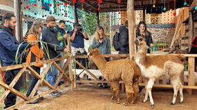 Desde Cusco: Valle Sagrado y Minas de Sal de Maras con Almuerzo