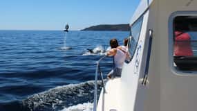De Sesimbra: Passeio de barco para observação de golfinhos na Arrábida