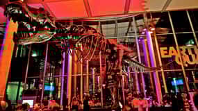 California Academy of Sciences Thursday NightLife Admission
