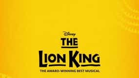 New York City: The Lion King Broadway Entry Tickets