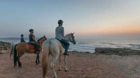 Algarve: Passeio a cavalo pela praia ao pôr do sol ou de manhã