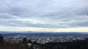 Discover Portland: Half-Day Small Group City Tour