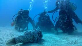 Koh Chang: Discover Scuba Diving for Beginners with 2 Dives