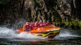 Rivière Waikato : croisière écologique d'une heure