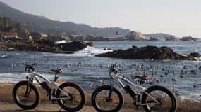 "Family Friendly" Scenic E-Bike Tour along 17 Mile Dr