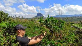 Guatapé & Coffee Farm, all in one day