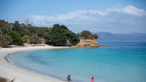 Hobart : Visite d'une jounée du parc national de l'île Maria