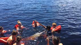 Desde Manaus: Excursión de medio día al río Negro