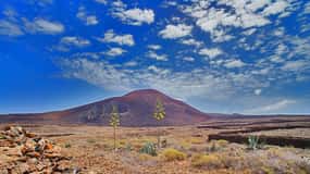 Fuerteventura: Trekking Tour durch den Norden der Insel
