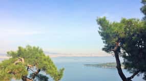 Istanbul: Day Trip to the Princes' Islands