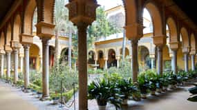 Las Dueñas Paleis toegangsbewijs en audiogids