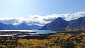Whitehorse: Kluane National Park & Haines Junction Day Trip