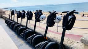 Palma: Höjdpunkter i staden och segway-tur vid strandpromenaden