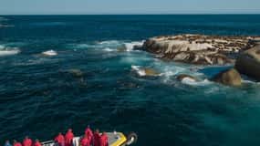 Wilsons Promontory: Afternoon Wilderness Cruise