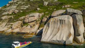 Melbourne: Wilsons Promontory Morning Wilderness Cruise