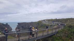 Da Greymouth: Tour delle buche di Punakaiki e delle rocce di Pancake