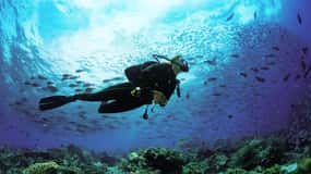 Lombok: Open Water Diver Course